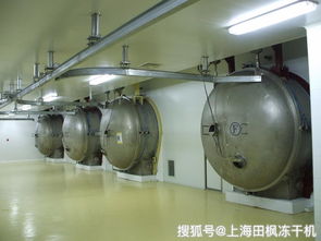 寵物食品凍干生產工藝與設備詳解 肉類凍干與真空凍干機的核心作用