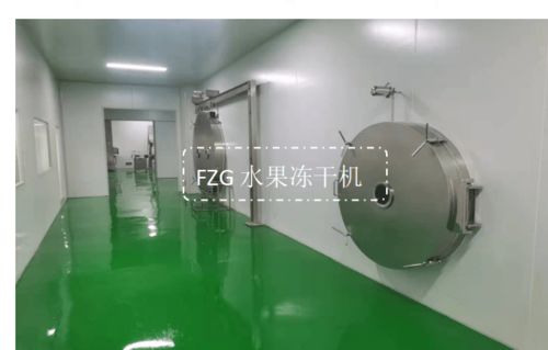 食品凍干機在水果與果汁凍干加工中的應用研究